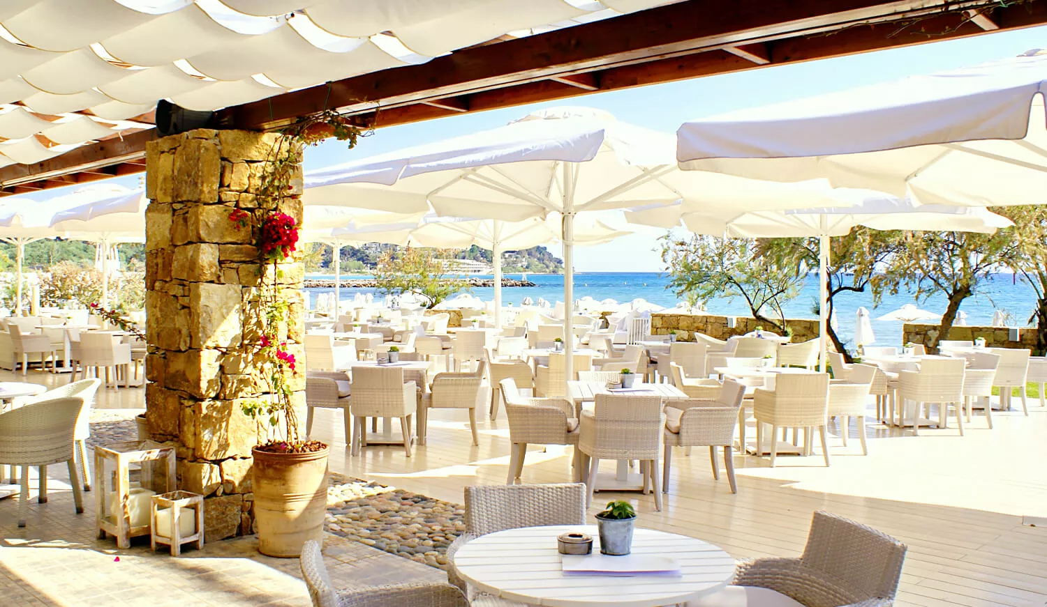 Special Options for Outdoor Venues