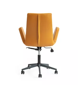 OLMO 01