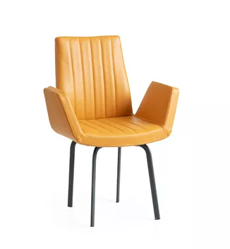 OLMO 04